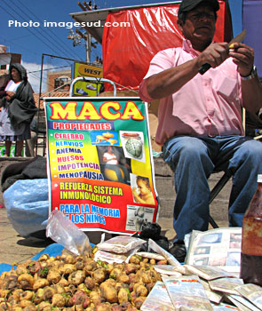 vendeur de maca en Bolivie