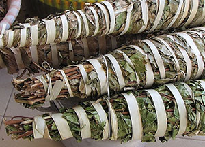 les feuilles de kinkeliba en paquets : crédit Wikipedia